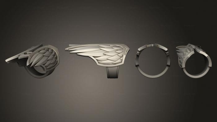 Ювелирные перстни и кольца (Опорное кольцо Небесного, JVLRP_1047) 3D модель для ЧПУ станка