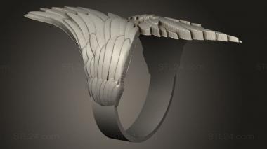 Jewelry rings (Aneis Ring Wings, JVLRP_1060) 3D models for cnc