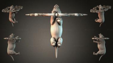 Cartouches KRTI_005424 3d model