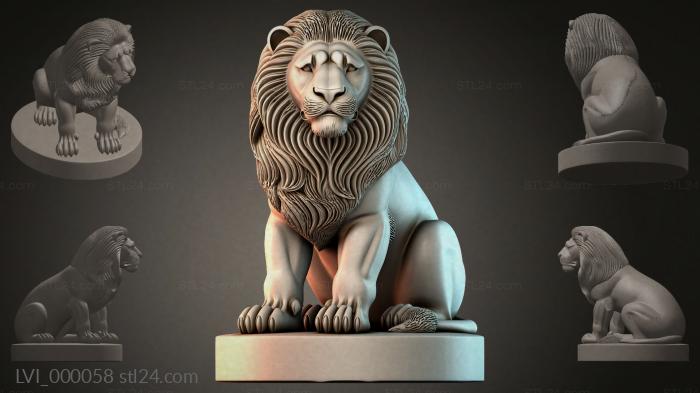 LVI_000058