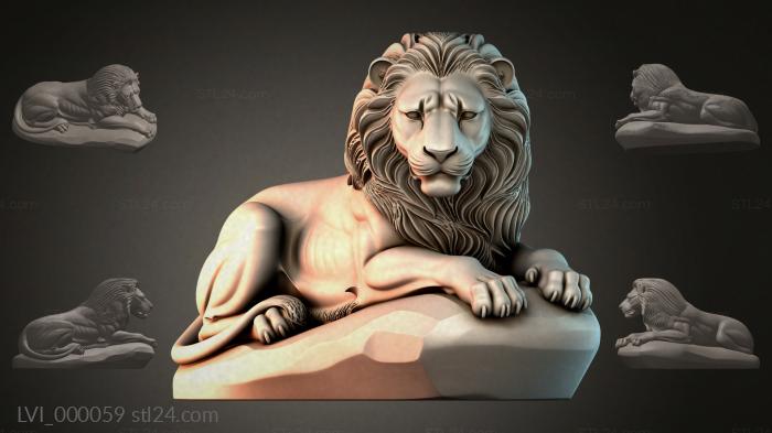 LVI_000059