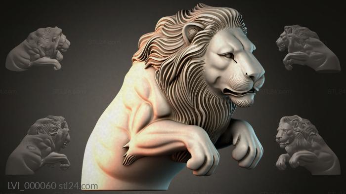 LVI_000060