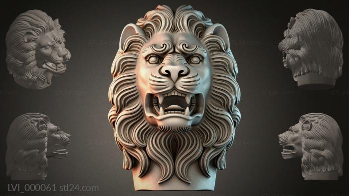 LVI_000061