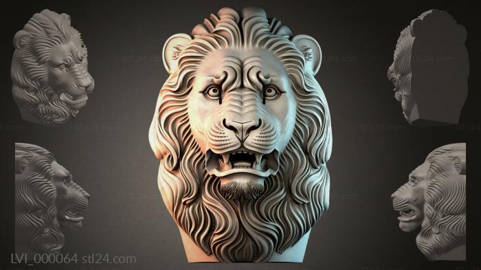LVI_000064