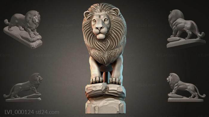 LVI_000124
