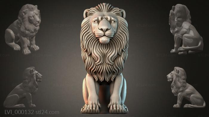 LVI_000132