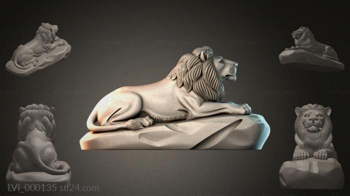 LVI_000135