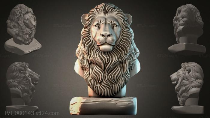 LVI_000143
