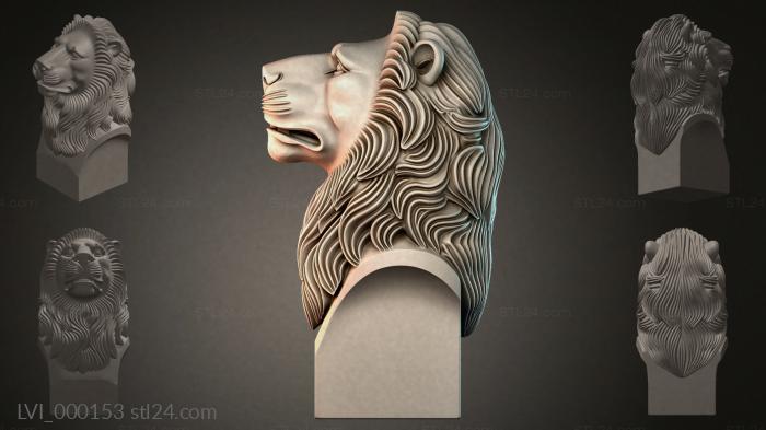 LVI_000153