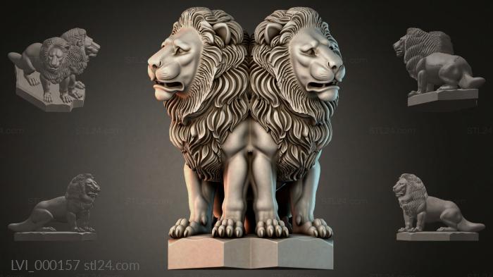 LVI_000157