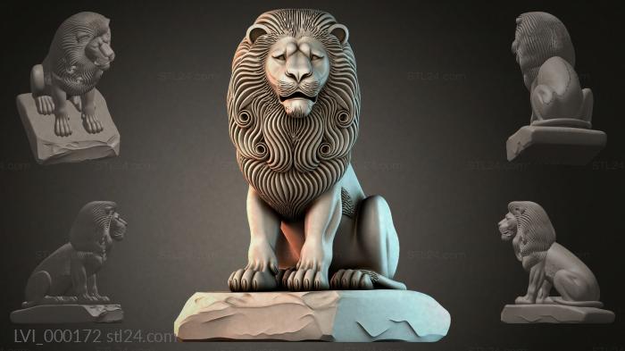 LVI_000172