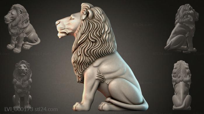 LVI_000173