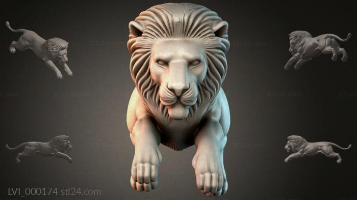 LVI_000174