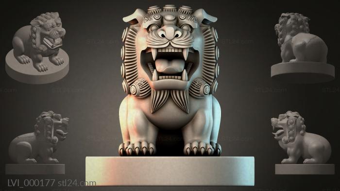 LVI_000177
