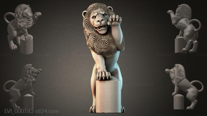 LVI_000183