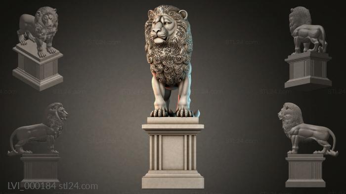 LVI_000184