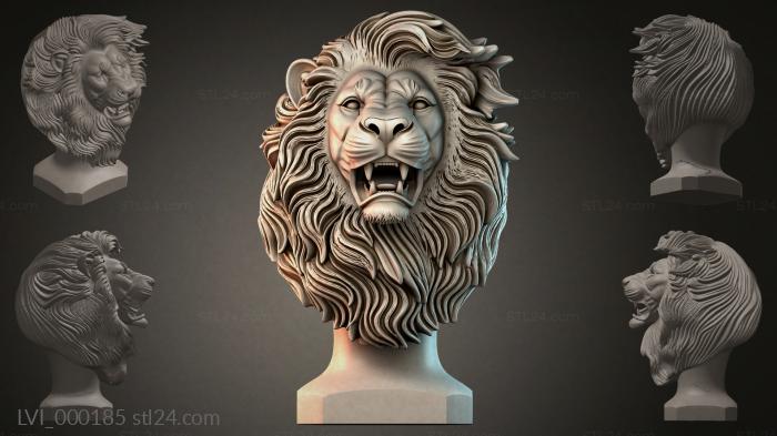 LVI_000185