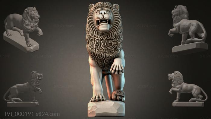 LVI_000191