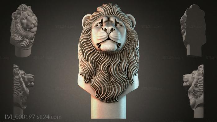 LVI_000197