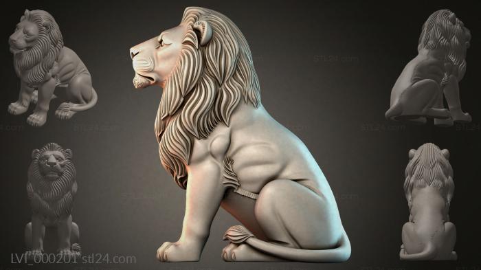 LVI_000201