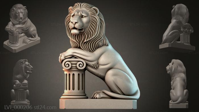 LVI_000206