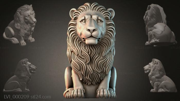 LVI_000209