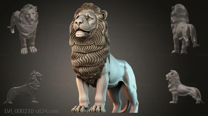 LVI_000210