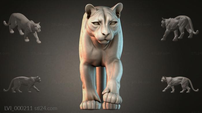 LVI_000211