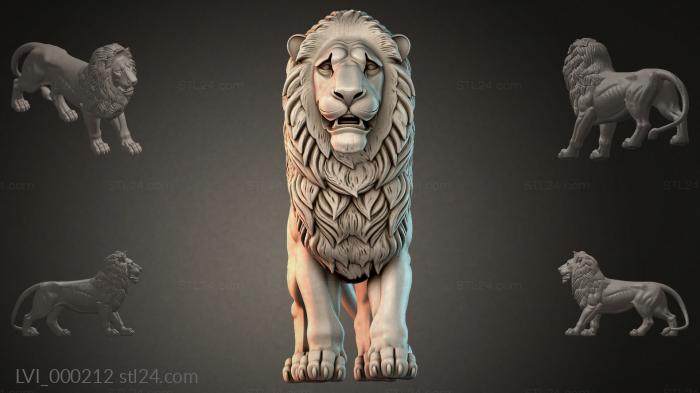 LVI_000212