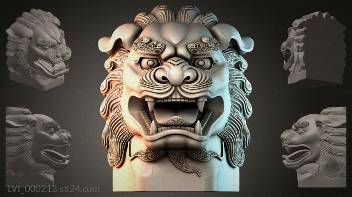 LVI_000213