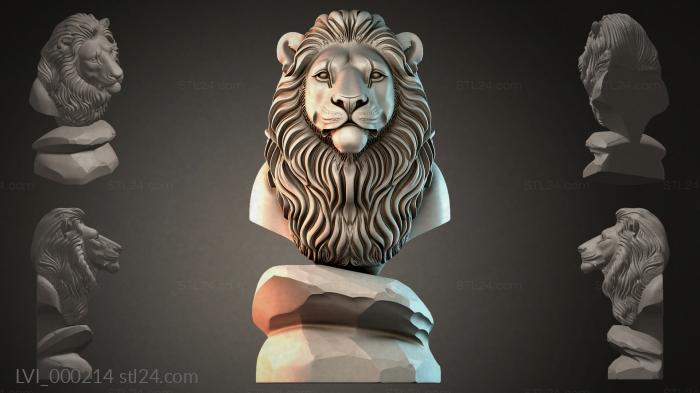 LVI_000214