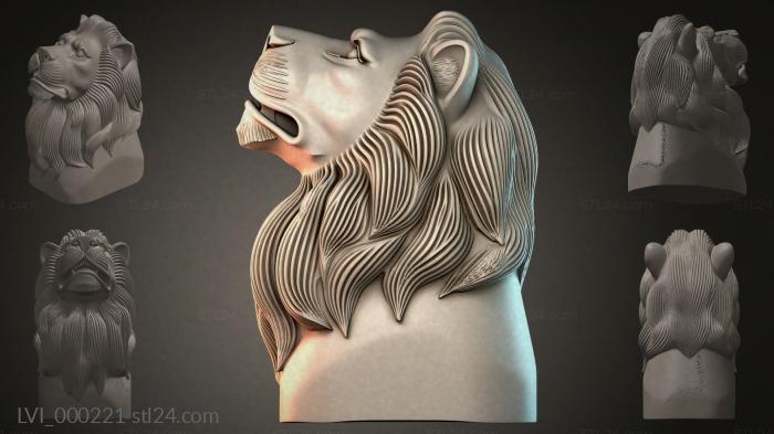 LVI_000221