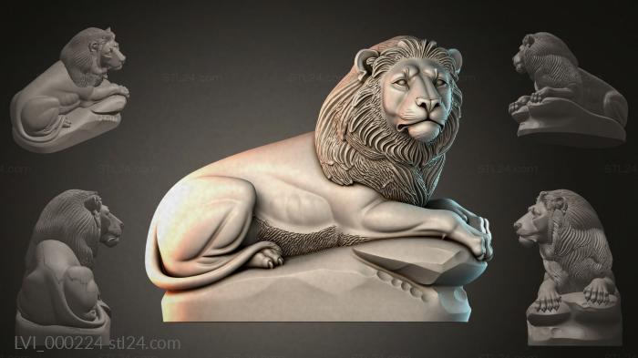 LVI_000224