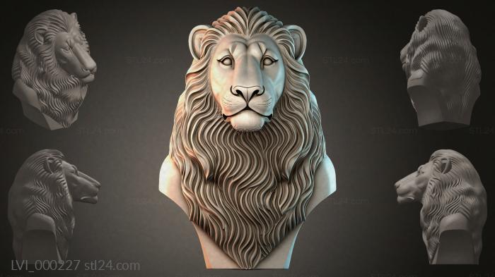 LVI_000227