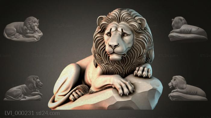 LVI_000231
