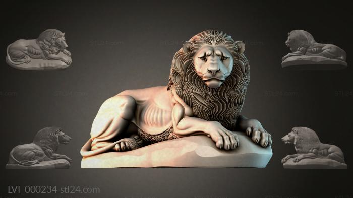 LVI_000234