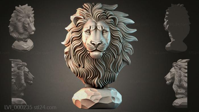 LVI_000235