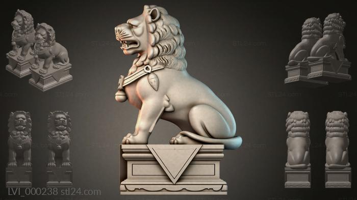LVI_000238
