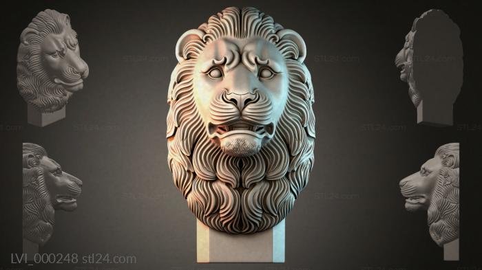 LVI_000248