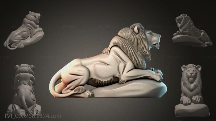 LVI_000256