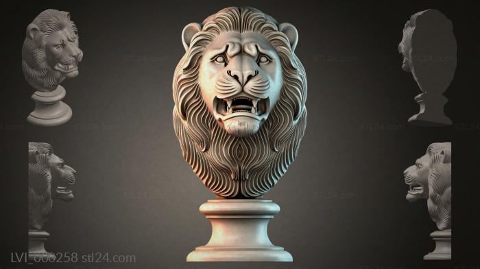 LVI_000258