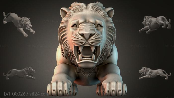 LVI_000267