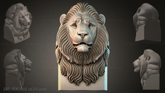 LVI_000268