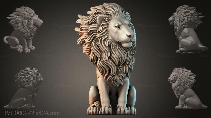 LVI_000272