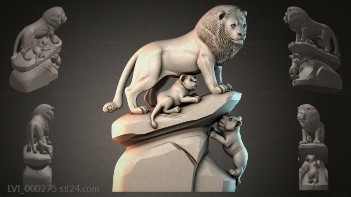 LVI_000275