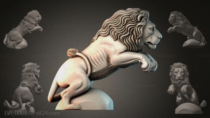 LVI_000278