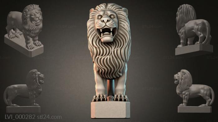 LVI_000282