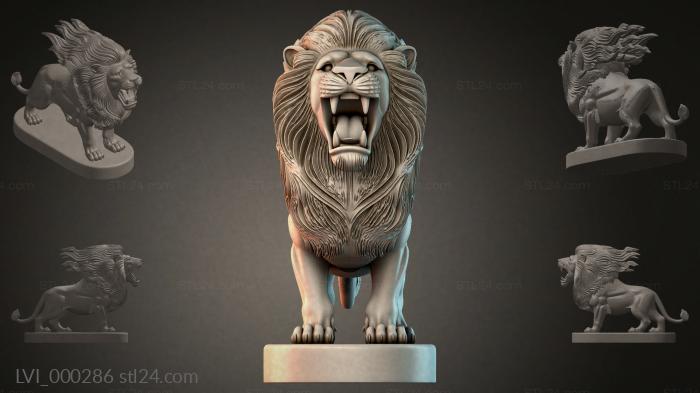 LVI_000286