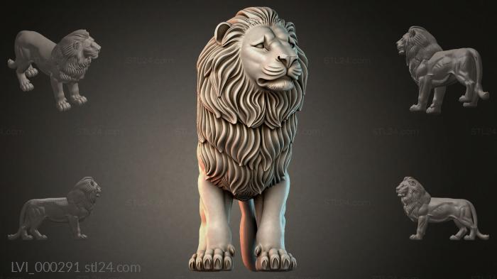 LVI_000291