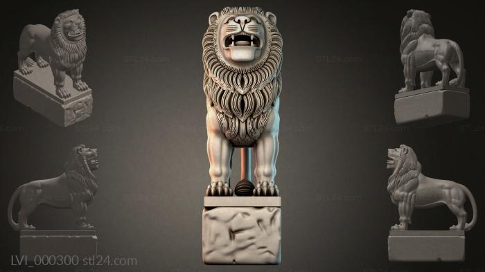 LVI_000300